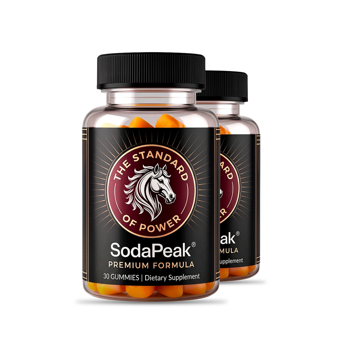 SodaPeak two bottle 60 day supply offer