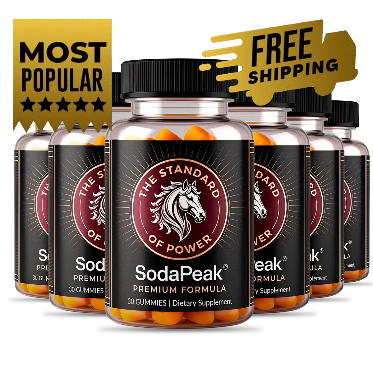 SodaPeak six bottle 180 day supply offer